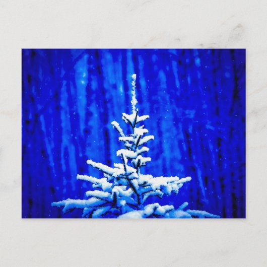 Weihnachtsbaum, Schnee, Zaubernacht Postkarte (Vorderseite)