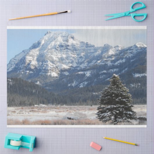 Weihnachtsbaum Seidenpapier (Basteln)