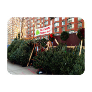 Weihnachtsbaum Stand Upper West Side New York City Magnet