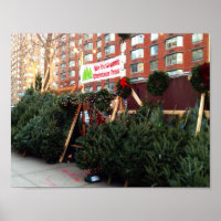 Weihnachtsbaum Stand Upper West Side New York City