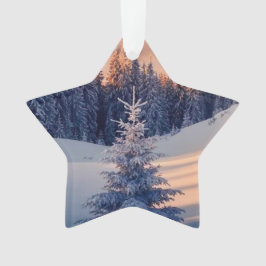 Weihnachtsbaum, Sterne Ornament