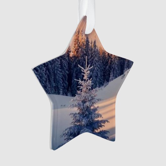 Weihnachtsbaum, Sterne Ornament (Vorderseite)