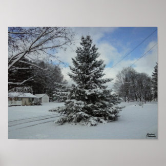 Weihnachtsbaum uncut poster