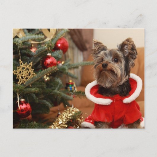 Weihnachtsbaum und Yorkie Puppy Feiertagspostkarte (Vorderseite)