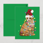 Weihnachtsbaum Weihnachtsfest Weihnachten Weihnach Postkarte (Vorne/Hinten)