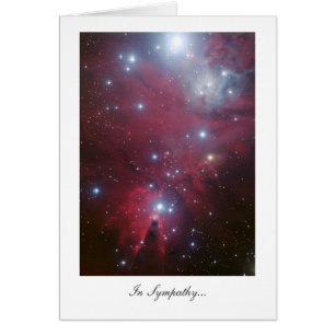 Weihnachtsbaumcluster - im Beileid