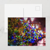 Weihnachtsbäume auf der Straße Postkarte (Vorne/Hinten)