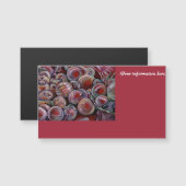 Weihnachtsbäume Magnetkarte (Vorne/Hinten)