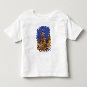 Weihnachtsbäume, Park City, Wastch Berge, 2 Kleinkind T-shirt