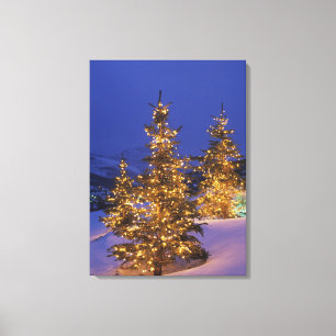 Weihnachtsbäume, Park City, Wastch Berge, 2 Leinwanddruck