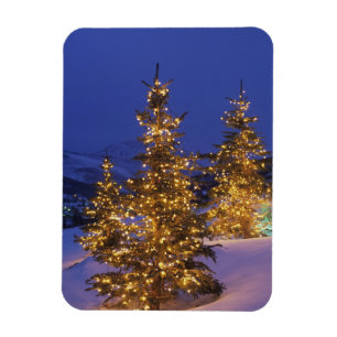 Weihnachtsbäume, Park City, Wastch Berge, 2 Magnet