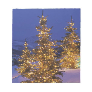Weihnachtsbäume, Park City, Wastch Berge, 2 Notizblock