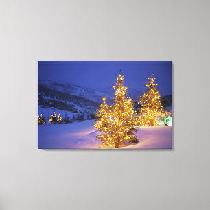 Weihnachtsbäume, Park City, Wastch Berge, Leinwanddruck
