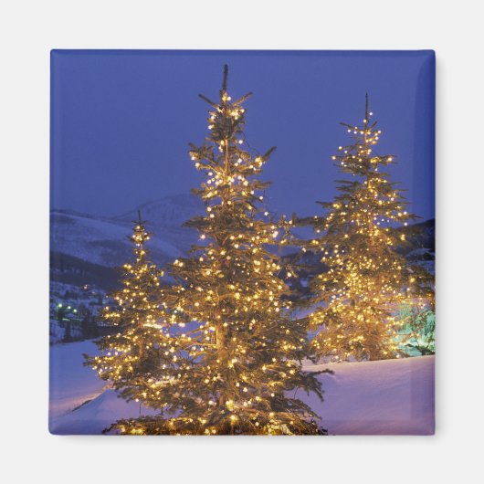 Weihnachtsbäume, Parkstadt, Müllberge, 2 Magnet (Vorne)
