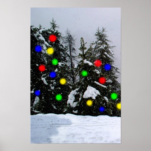 Weihnachtsbäume Poster (Vorne)