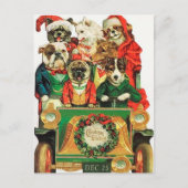 Weihnachtsbäume Weihnachtsfest Postkarte (Vorderseite)