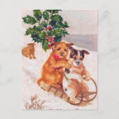 Weihnachtsbäume Weihnachtsfest Postkarte (Vorderseite)