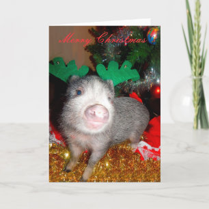 Weihnachtsbaumschwein, Grußkarte Feiertagskarte