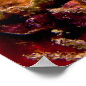 Weihnachtsbaumwurm Spirobranchus Giganteus Poster (Ecke)