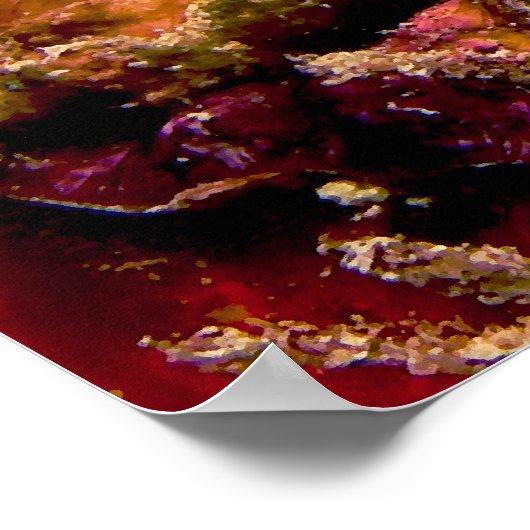 Weihnachtsbaumwurm Spirobranchus Giganteus Poster (Ecke)