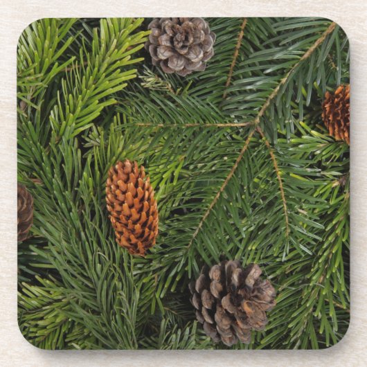 Weihnachtsbaumzweige Getränkeuntersetzer (Vorderseite)