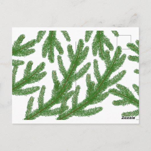 Weihnachtsbaumzweige Postkarte (Rückseite)