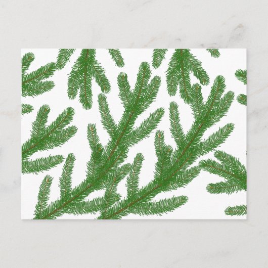 Weihnachtsbaumzweige Postkarte (Vorderseite)