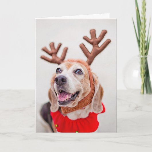 WeihnachtsBeaglehund mit den festlichen Renohren Feiertagskarte (Vorderseite)