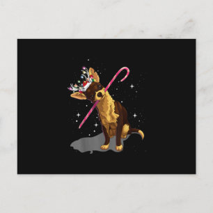 Weihnachtsbeleuchtung Chihuahua Feiertagspostkarte