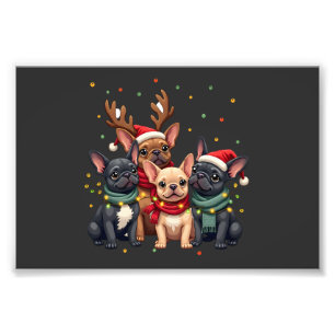 Weihnachtsbeleuchtung Französische Bulldoggen Xmas Fotodruck