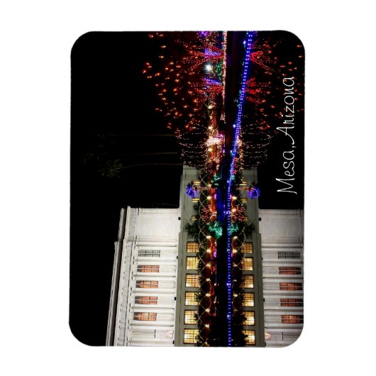 Weihnachtsbeleuchtung im Tempel Magnet (Vertikal)