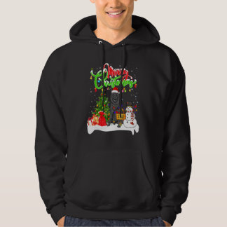 Weihnachtsbeleuchtung passend zum Weihnachtsmann B Hoodie