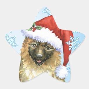 Weihnachtsbelgier Laekenois Stern-Aufkleber