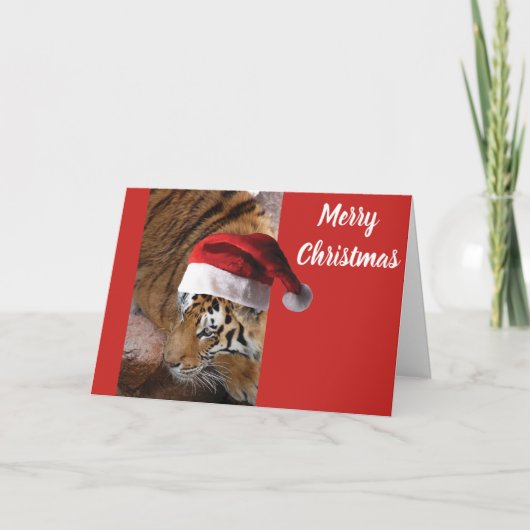 WeihnachtsBengalischer Tiger Feiertagskarte (Vorderseite)