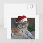 WeihnachtsBengalischer Tiger Feiertagspostkarte (Vorne/Hinten)