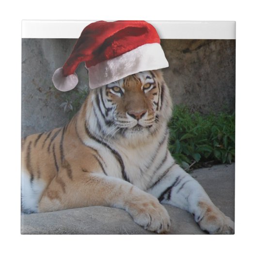 WeihnachtsBengalischer Tiger Fliese (Vorderseite)
