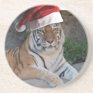 WeihnachtsBengalischer Tiger Sandstein Untersetzer