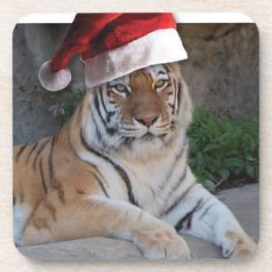WeihnachtsBengalischer Tiger Untersetzer
