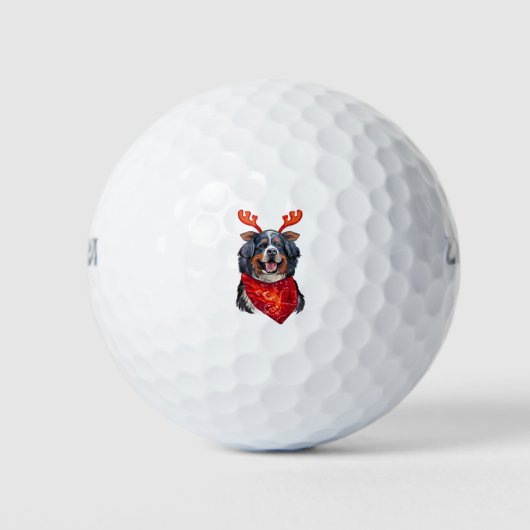 Weihnachtsberger Hund Golfball (Vorderseite)