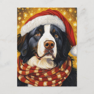 Weihnachtsberger Hund in der Weihnachtsmannmütze Postkarte