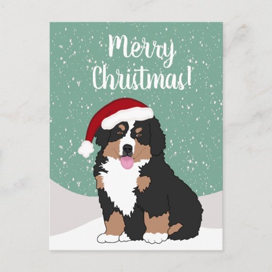 Weihnachtsberger Hund Postkarte (Vorderseite)