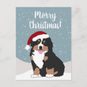 Weihnachtsberger Hund Postkarte (Vorderseite)