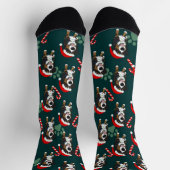 Weihnachtsberger Hund Socken (Oben)