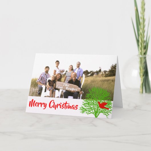 Weihnachtsbird - feiertagskarte (Vorderseite)