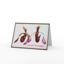 WeihnachtsBlumen-Orchidee