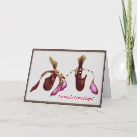 WeihnachtsBlumen-Orchidee Feiertagskarte (Vorderseite)