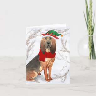 Weihnachtsbluthund Hund und Botanische Kiefern Feiertagskarte
