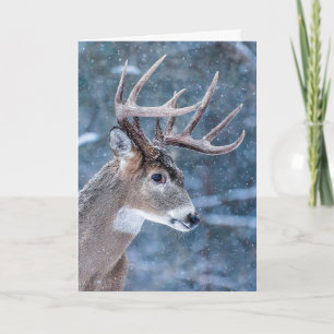 Weihnachtsbock Feiertagskarte