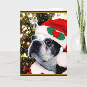Weihnachtsboston-Terrier Feiertagskarte