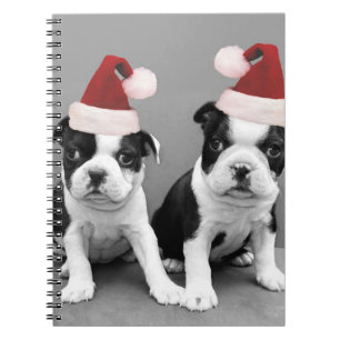 Weihnachtsboston-Terrier Notizblock